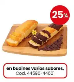 Coto budines varios sabores oferta