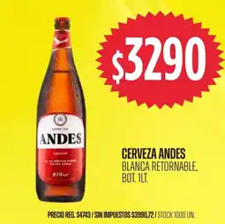 Supermercados Vea Andes cerveza blanca retornable oferta