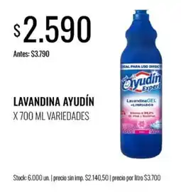 Supermercados Tadicor Ayudín lavandina gel + limpiador oferta