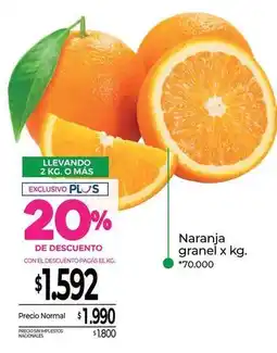 La Anonima Naranja granel oferta