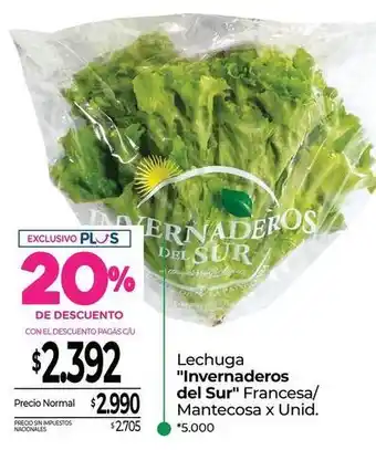 Lechuga francesa/mantecos