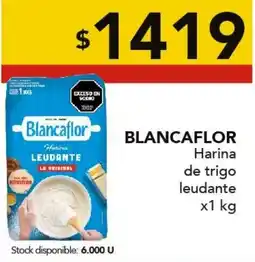 Nini Mayorista Blancaflor harina de trigo leudante oferta