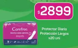 Nini Mayorista Carefree protector diario protección largos oferta