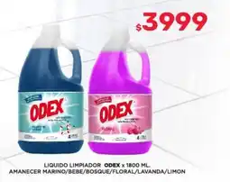 Nini Mayorista Odex liquido limpiador oferta