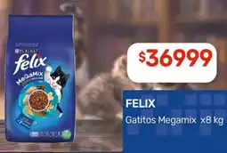 Nini Mayorista Felix gatitos megamix oferta