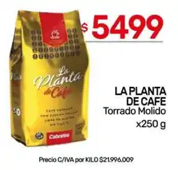 Nini Mayorista La planta de cafe oferta