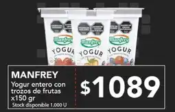 Nini Mayorista Manfrey yogur entero con trozos de frutas oferta