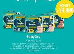 Makro Pampers - babydry oferta