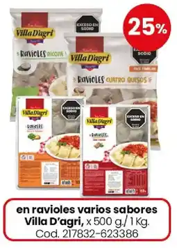 Coto Villa D'agri ravioles varios sabores oferta