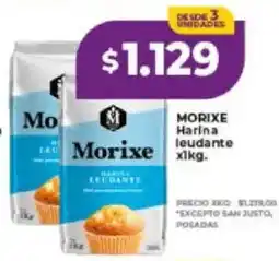 Supermayorista Vital Morixe harina leudante oferta