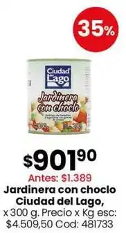Coto Ciudad del lago - jardinera con choclo oferta