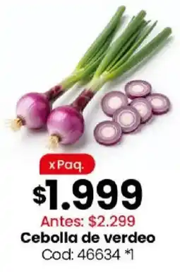 Coto Cebolla de verdeo oferta
