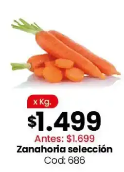 Coto Zanahoria selección oferta