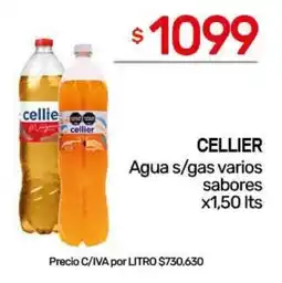 Nini Mayorista Cellier agua s/gas varios sabores oferta