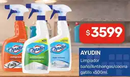 Nini Mayorista Ayudin limpiador baño/antihongos/cocina oferta