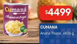 Nini Mayorista Cumaná ananás en trozos oferta
