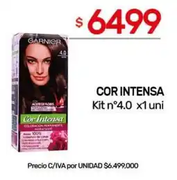 Nini Mayorista Garnier cor intensa oferta