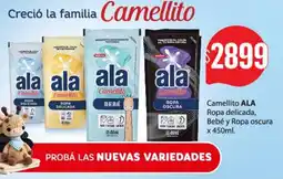 Nini Mayorista Ala camellito oferta