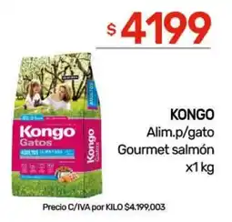 Nini Mayorista Kongo gatos gourmet salmón oferta