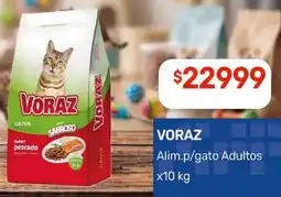 Nini Mayorista Voraz alim.p/gato adultos oferta