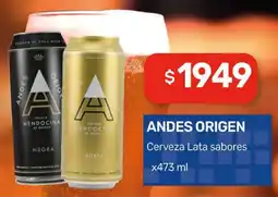 Nini Mayorista Andes origen cerveza lata sabores oferta