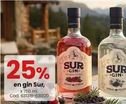 Coto Sur gin oferta