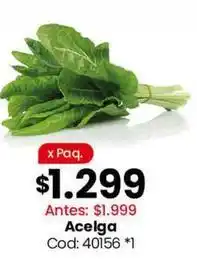 Coto Acelga cod: 40156 oferta