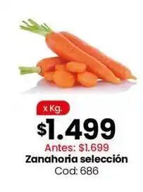 Coto Zanahoria seleccion cod: 686 oferta