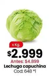 Coto Lechuga capuchina cod: 648 *1 oferta