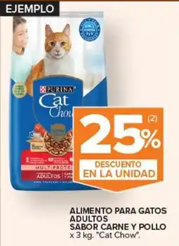 Carrefour Purina cat chow oferta