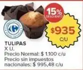 Carrefour Market Carrefour - tulipas oferta