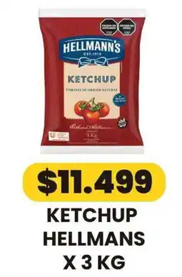 Autoservicio Capo Hellmann's ketchup oferta