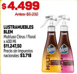 Makro Blem lustramuebles multiuso citrus / floral oferta