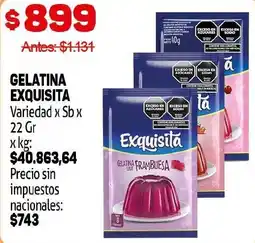 Makro Exquisita gelatina oferta