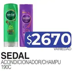 Masivos Sedal acondicionador/champu oferta