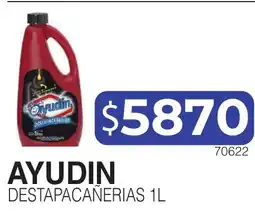 Masivos Ayudin destapacañerias oferta