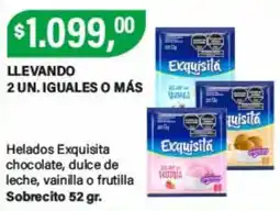 Supermercados Damesco Exquisita helados chocolate dulce de leche vainilla o frutilla oferta