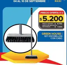 Carrefour Maxi Green house set escobillon con cabo oferta