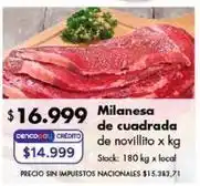 Disco Milanesa de cuadrada de novillito oferta