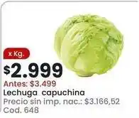 Coto Lechuga capuchina cod. 648 oferta
