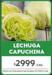 Jumbo Lechuga capuchina oferta