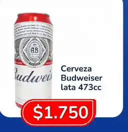 Yaguane Supermercados Budweiser cerveza oferta