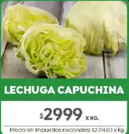 Jumbo Lechuga capuchina oferta