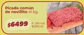 Picada común de novillito
