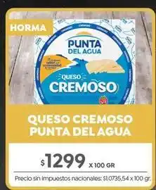 Jumbo Punta del agua - queso cremoso oferta