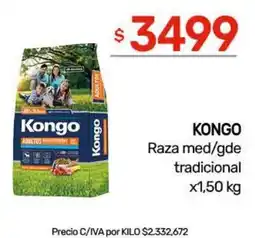 Nini Mayorista Kongo raza med/gde tradicional oferta