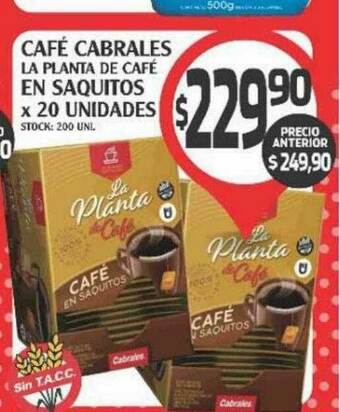 Café Cabrales La Planta De Café En Saquitos
