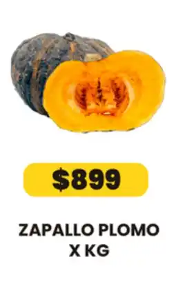 Autoservicio Capo Zapallo plomo oferta