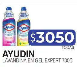 Masivos Ayudin lavandina en gel expert 700c oferta
