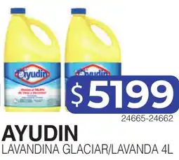 Masivos Ayudin lavandina glacial/lavanda 4l oferta